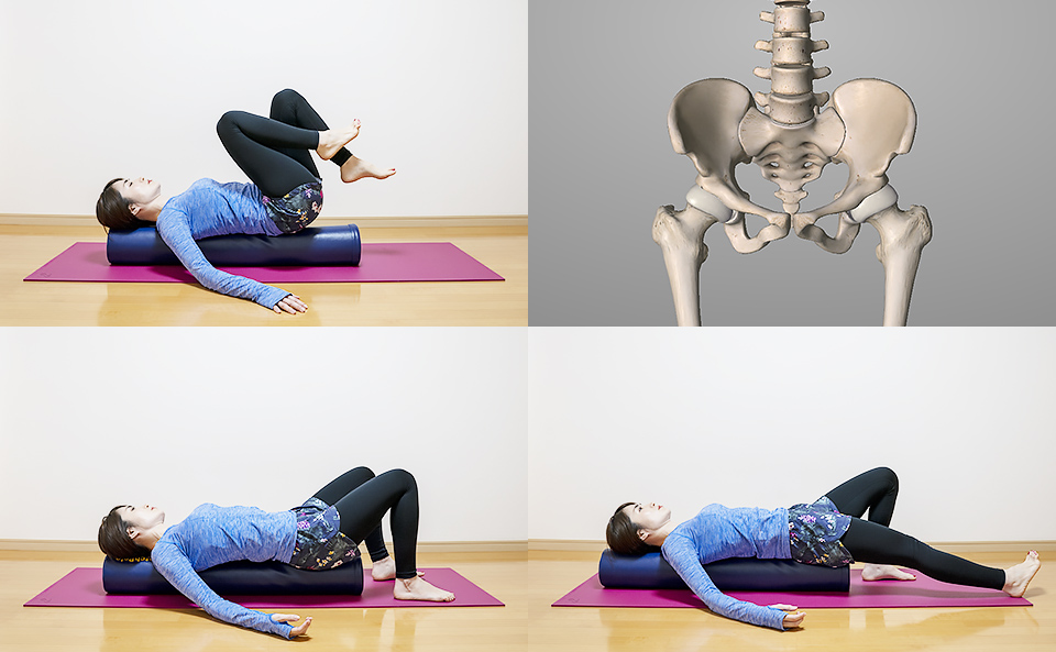 ストレッチポールで骨盤を整えて腰痛を改善 悪化しないやり方を紹介