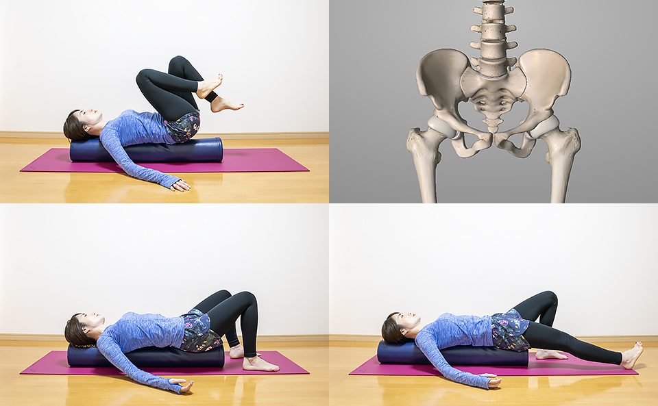ストレッチポールで骨盤を整え腰痛を軽減・改善・予防するエクササイズ方法の紹介