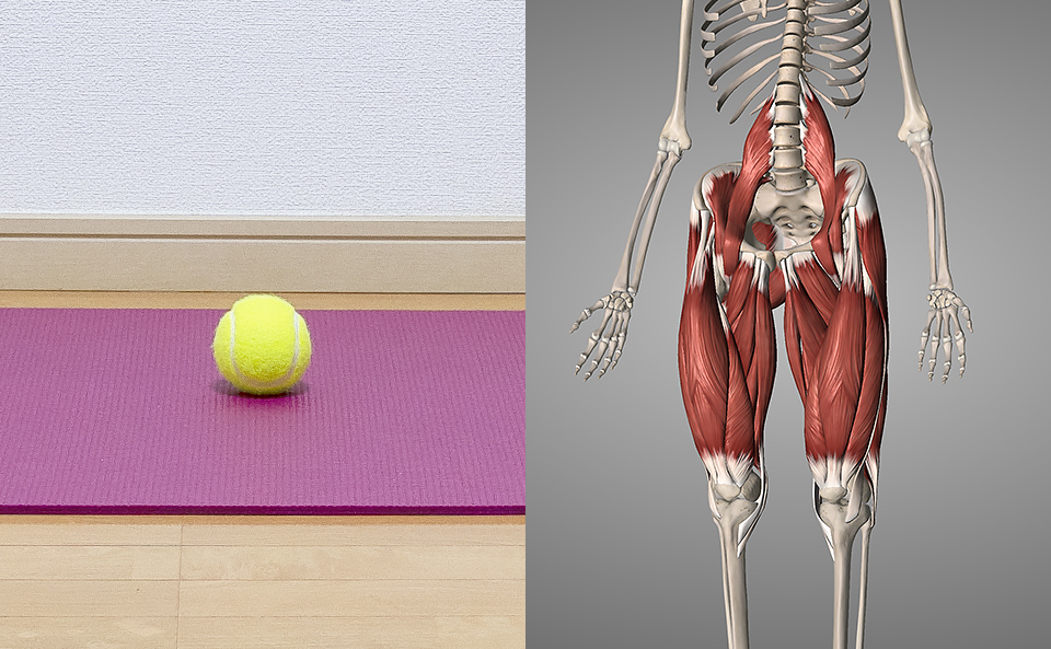 テニスボールで股関節をマッサージとは？腸腰筋など股関節の動きに関わっている筋肉をほぐすこと