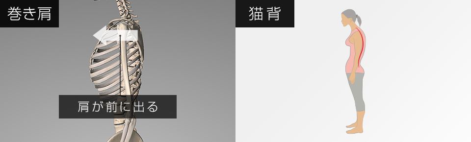 テニスボールで肩甲骨を動かしやすくして肩をスッキリさせよう