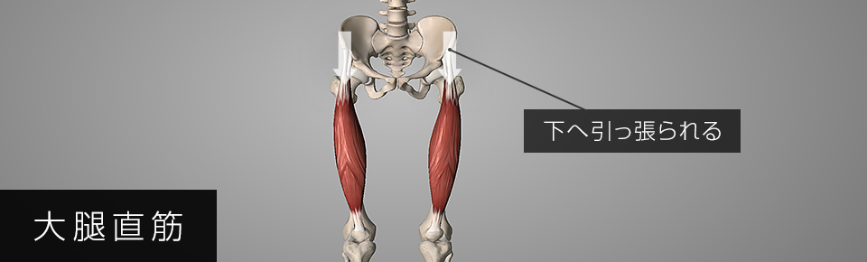 大腿直筋が硬くなると骨盤の前側が下へ引っ張られる