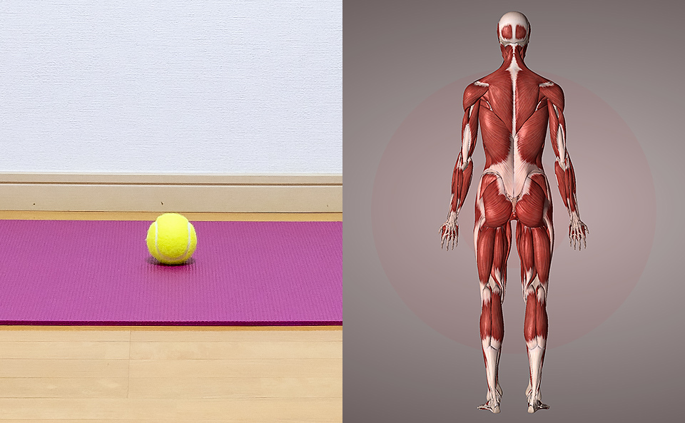 テニスボールでマッサージ（筋膜リリース）を行う際に注意する3つのこと