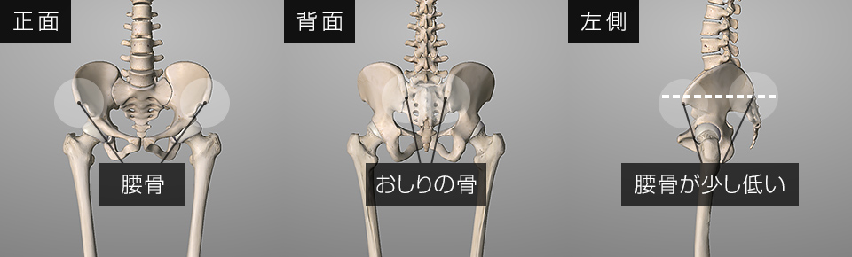 骨盤後傾の確認方法「腰骨とおしりの骨の位置で確認」