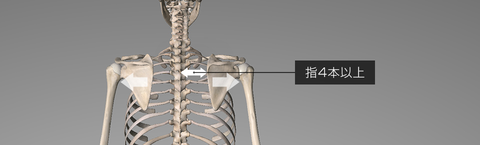 背骨と肩甲骨の間が指4本以上ある方は巻き肩の可能性あり